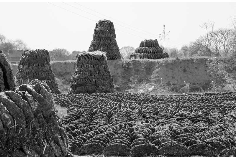 Cowdung cakes as a sustainable biofuel-based energy source in Varanasi district, Uttar Pradesh